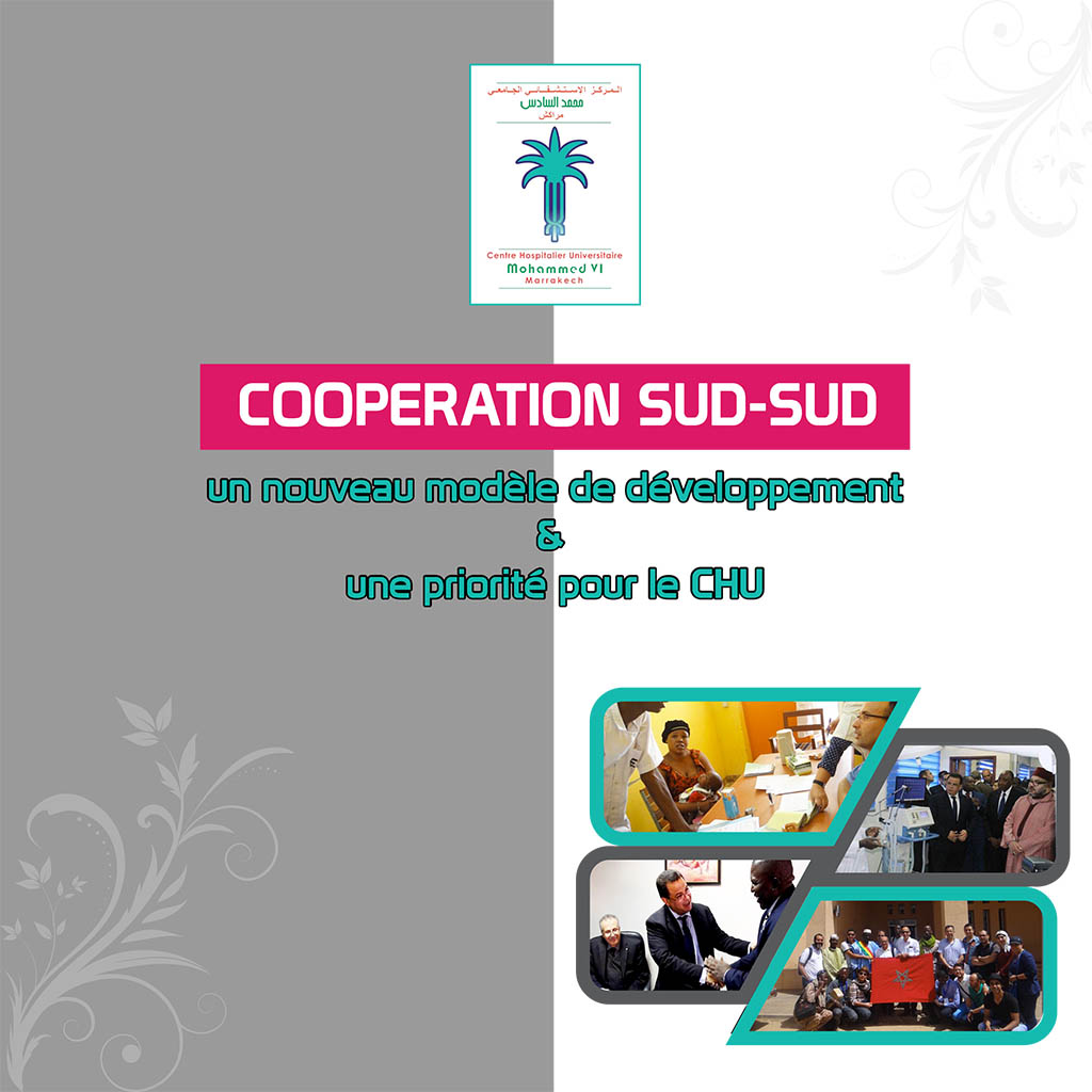 Coopération sud-sud