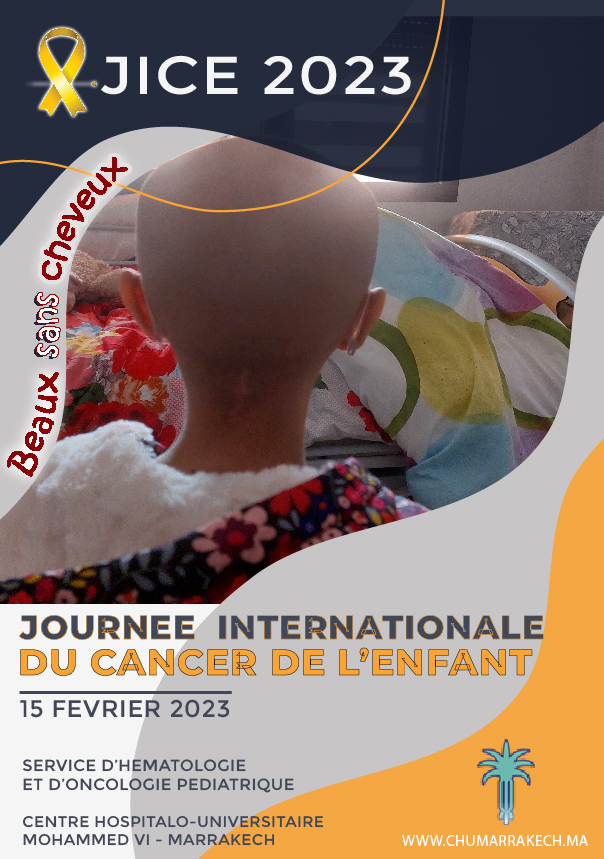 JICE Affiche 2023