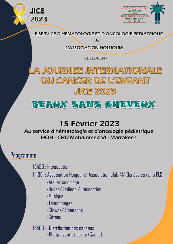 JICE Programme 2023